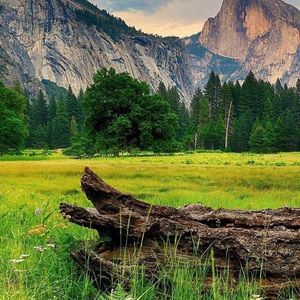 Meet your Posher, Deborah